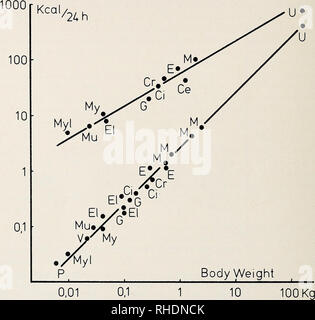 . Bonner zoologische Monographien. Zoology. 28 VI. Energy Metabolism Energy balance. The metabolism of awake hibernators (also of bears and badgers) during the hibernation season is lower than at other times of the year (Hildwein 1970, Kayser et al. 1969, Mletzko and Raths 1972 a). The yearly rhythm is temperature independent (Malan and Hildwein 1965,. Fig. 17: Heat production (BMR) of different species of hibernators in summer (upper curve) and during hibernation (lower curve); adapted from Kayser (1961) and other authors. Ce = Centetes ecaudatus, Ci = Citellus citellus, E = Erinaceus europae Stock Photo