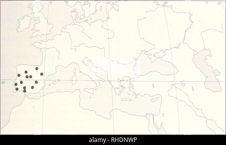 . Bonner zoologische Monographien. Zoology. 25. Abb. 14. Verbreitung von Dyscia distinctaria (Bang-Haas. 1910) - atlantomediterranes Fau- nenelement. Nachweise (Abb. 14). Portugal - Caldas de Monchiqiie (K. Jordan), Setiibal, Gerez, Süd-Fiel (Zerkowitz 1946); Spanien - Sevilla, Villamaiirique (coli. MNHU), Jerez (Wamecke 1940), Sierra de Guadarrama (Wehrli 1953), Vallado- lid (Expösito Hermosa in litt. 1998), Baskenland (Gomez de Aizpüma 1988), Ara- gon (Redondo &amp; Gastön 1999), Guadalajara (Domingiiez &amp; Baixeras 1994), Albacete (E. Aistleitner). Bionomie. In einer Generation, Flugzeit  Stock Photo