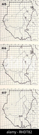 . Bonner zoologische Monographien. Zoology. 195. 614 Lesser Swamp Warbler (957) Acrocephalus gracilirostris jacksoni R BR 3 uncommon reed, tall grass and floating papyrus 615 Basra Reed Warbler (943) Acrocephalus griseldis PM (8-10) A uncommon to rare marshy undergrowth and thickets near wa- ter Remarks: Nikolaus (1979, 1983, 1983 a) 616 Marsh Warbler (945) Acrocephalus palustris PM (8-10, 5) A S uncommon, very common on Red Sea coast in autumn, rare in spring rank bush vegetation, gardens Remarks: From August to December birds have to stop in southeast Sudan and south- west Ethiopia, but have Stock Photo