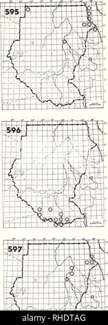 . Bonner zoologische Monographien. Zoology. 190. 595 Red-rumped Wheatear (861) Oenanthe xanthoprymna PM (10-3) W fairly common in Red Sea hills, rare else- where rocky hillsides with acacia bushes 596 White-fronted Black Chat (874) Pentholaea albifrons clericalis R? LM (11-3) NBR uncommon open grassy woodland 597 Black Redstart (918) Phoenicurus ochruros P. o. ochuros/(phoenicuroides) PM (11-2) W fairly common on Red Sea hills, rare else- where open acacia woodland. Please note that these images are extracted from scanned page images that may have been digitally enhanced for readability - colo Stock Photo