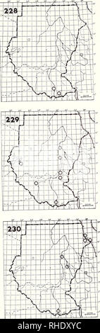 . Bonner zoologische Monographien. Zoology. 84. 228 African Snipe (300) Gallinago nighpennis aequatorialis R? A? (4, 6, 10) NBR uncommon to rare wet grassland and swamps at higher alti- tude Remarks: It might be resident on Imatong Mts., a wanderer to low altitude 229 Jack Snipe (302) Lymnocryptes minimus PM (10-1, 4) A W S uncommon marshy grassland and swamps Remarks: numbers changing anually 230 Sanderling (308) Calidris alba PM (9-12, 4-5) A S uncommon, rare inland sandy shorelines Remarks: So far records are only for au- tumn and spring only, but wintering on the Red Sea coast is likely. P Stock Photo
