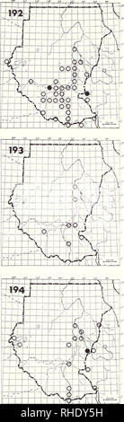 . Bonner zoologische Monographien. Zoology. 72. JACANIDAE — JACANAS 192 Jacana (264) Actophilornis africanus LM BR 7, 8 very common swamps and open water with floating vege- tation Remarks: Distinct movements with the rain. Please note that these images are extracted from scanned page images that may have been digitally enhanced for readability - coloration and appearance of these illustrations may not perfectly resemble the original work.. Bonn, Zoologisches Forschungsinstitut und Museum Alexander Koenig Stock Photo