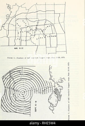 . Boll weevil suppression, management, and elimination technology : proceedings of a conference, February 13-15, 1974, Memphis, Tennessee. Boll weevil, Control, Congresses. 107. Please note that these images are extracted from scanned page images that may have been digitally enhanced for readability - coloration and appearance of these illustrations may not perfectly resemble the original work.. I. Research on Boll Weevil Suppression and Elimination Technology and II. Boll Weevil Management and Elimination Strategies (1974 : Memphis, Tennessee); United States. Agricultural Research Service. So Stock Photo