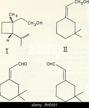 . Boll weevil suppression, management, and elimination technology : proceedings of a conference, February 13-15, 1974, Memphis, Tennessee. Boll weevil, Control, Congresses. Figure 1.—Compounds. I, ( + )-ci's-2-Isopropenyl-l- methylcyclobutaneethanol. II, Z-3,3-Dimethyl-AK|3- cyclohexaneethanol. Ill, Z-3,3-Dimethyl-A] &quot;-cyclo- hexaneacetaldehyde. IV, £'-3,3-Dimethyl-A1'a-cyclo- hexaneacetaldehyde. had been correct, because the spectral data matched that of the natural components and, more importantly, because the synthetic com- ponents successfully replaced the natural ones in the bioassay Stock Photo