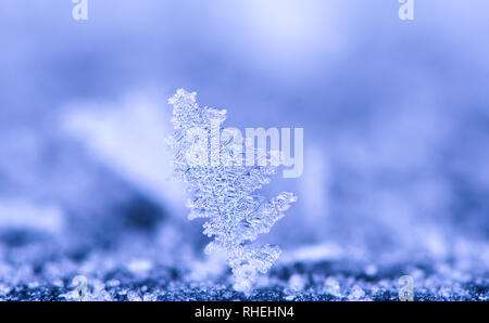 Abstract macro of an ice crystal Stock Photo