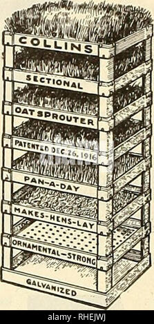 . Bolgiano's of Washington : new 1925 introduction the Washington tomato. Nurseries (Horticulture) Catalogs; Bulbs (Plants) Catalogs; Vegetables Catalogs; Garden tools Catalogs; Seeds Catalogs; Flowers Catalogs; Poultry Equipment and supplies Catalogs. Reliable Grain and Oat Sprouter Sprouted oats will make hens lay. The Reliable Sprouter will sprout oats in three days. They have galvanized iron panels, large glass doors so light can enter. 3 Tray. For 50 chickens...$11.50 6 Tray. For 100 chickens... 17..50 12 Tray. For 200 chickens... 28.00 Collins Oat Sprouter This Oat Sprouter will supply g Stock Photo