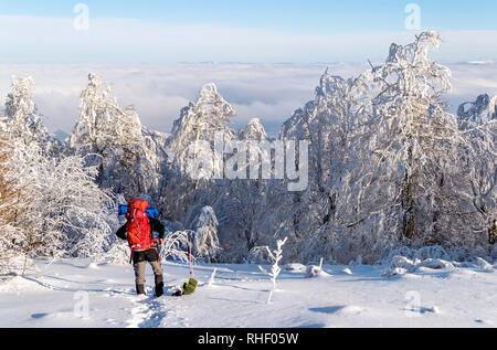 Man with a backpack standing on the path in the snow and corrects his backpack. Clouds in the valley. Trees covered with snow, clear sky. Winter hike  Stock Photo