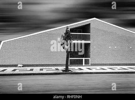 Black and white cityscape. Cat walking on the sidewalk near the brick house. The sky and the road blurred in motion. Direct geometric lines. Stock Photo