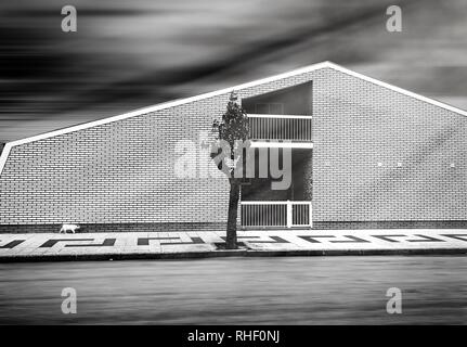 Bizarre black and white cityscape. Cat walking on the sidewalk near the brick house. The sky and the road blurred in motion. Sunlight shines. Direct g Stock Photo