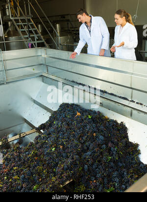 Two manufacturing engineers of winery controlling process of crushing and pressing of ripe grapes in crusher machine Stock Photo