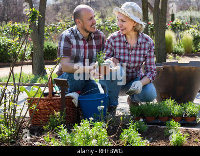 Cheerful mature couple engaged in gardening with flowers in the backyard garden Stock Photo