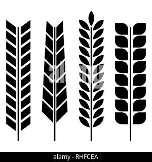 Set of various spikelets of wheat. Black silhouettes on a white background, vector illustration. Stock Vector