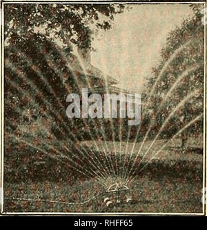 . Bolgiano's capitol city seeds : 1932. Nurseries (Horticulture) Catalogs; Bulbs (Plants) Catalogs; Vegetables Catalogs; Garden tools Catalogs; Seeds Catalogs; Flowers Catalogs; Poultry Equipment and supplies Catalogs. The New Eureka Lawn Sprinkler is a development and an improvement on the Eureka previously sold. Everything above the base, including the stem, head and arms, is nickel plated. The base is fin- ished in red, making a very attractive sprinkler. Revolves freely with very low pressure and is especially desirable where the water pressure is light. All bearing parts are made of brass Stock Photo