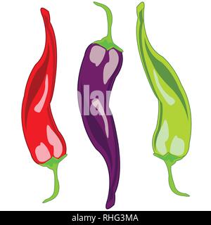 Sharp pepper chile on white background is insulated Stock Vector