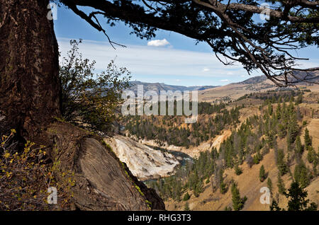 WY03121-00...WYOMING - View of Calcite Springs and the Yellowstone River in Yellowstone National Park. Stock Photo