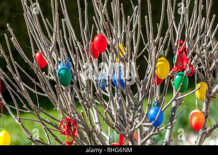 Colorful Easter Eggs hanging on Easter tree, spring shrub in garden Stock Photo