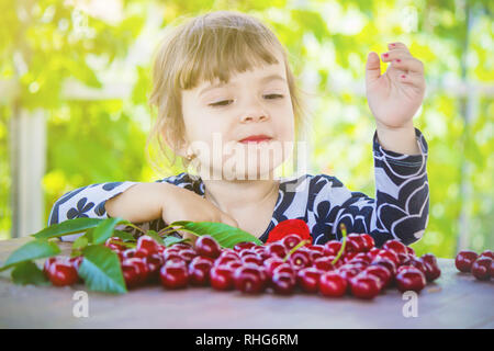 The child is picking cherries in the garden. Selective focus. Stock Photo