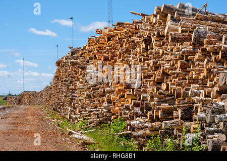 Lot of timber in an industrial area Stock Photo