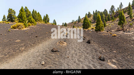 Path along Ruta de los Volcanes, beautiful hiking path over the volcanoes, La Palma, Canary Islands Stock Photo