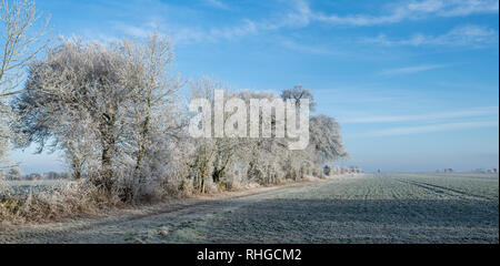 Hoar frost covering trees and farmland in january. Near  Burford, Oxfordshire Gloucestershire border, England. Panoramic Stock Photo