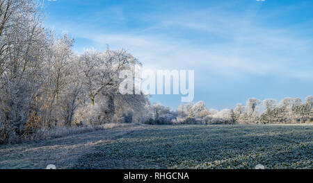 Hoar frost covering trees and farmland in january. Near  Burford, Oxfordshire Gloucestershire border, England. Panoramic Stock Photo