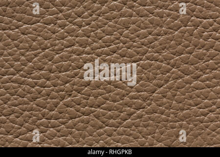 Elegant brown leather texture with contrast surface. Stock Photo