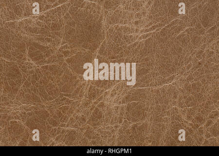 Exquisite leather texture in unusual colours for your unique project. Stock Photo