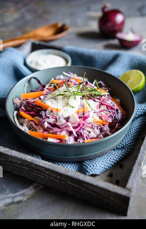 Homemade Coleslaw salad with red and white cabbage, red onion, carrot, and sour cream Stock Photo