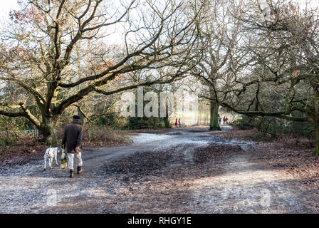 A man walks his dog down a frosty path on a cold but sunny winters day on Hampstead Heath, London, UK. Stock Photo