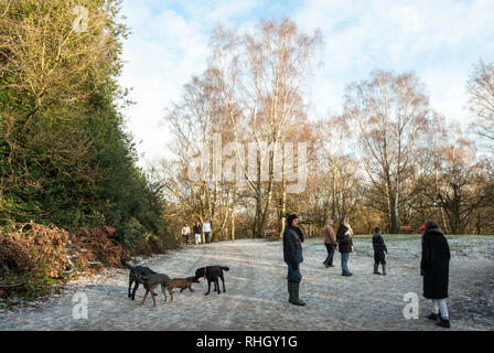 Dog walkers gather with their dogs to enjoy the sunshine on a snowy winters day on Hampstead Heath, London UK. Stock Photo