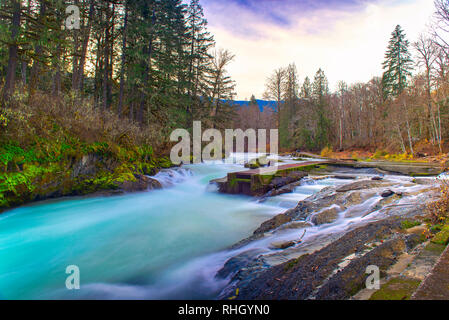 Stamp falls, Port Alberni. The end show the salmon on the salmon cam!