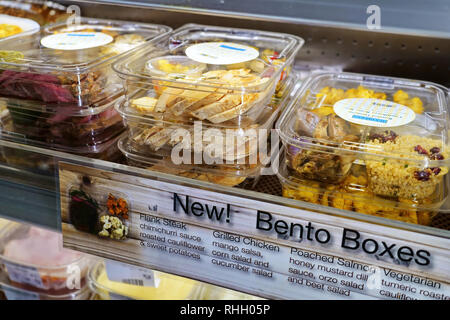 Westport, CT USA. Nov 2018. The Japanese Bento box concept of a variety of foods in a small container has now been adopted here in America. Stock Photo