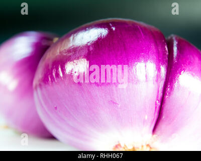 Freshness red onion isolated on gray background Stock Photo
