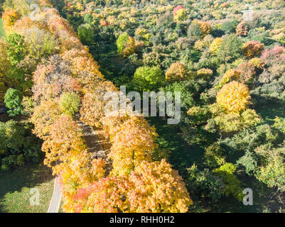 beautiful trees with colorful yellow, orange and red foliage growing in city park, aerial top image Stock Photo