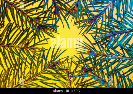 Fir branch on yellow background macro. Advertising background with empty space for text. Abstract Background From Fir Twigs. Stock Photo