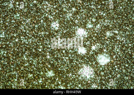 Sponge Foam Texture Macro Background. Abstract background of a thin layer of foam rubber. Translucent material. Fibers Stock Photo