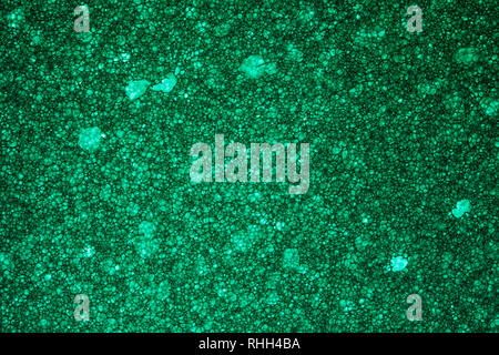 Green Sponge Foam Texture Macro Background. Abstract background of a thin layer of foam rubber. Translucent material. Fibers Stock Photo