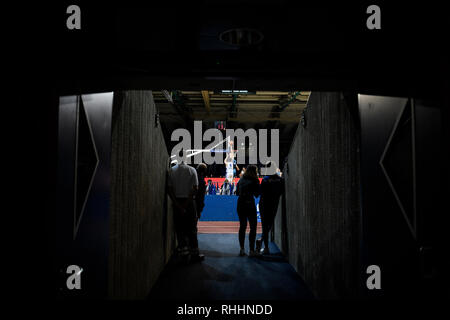Karlsruhe, Deutschland. 02nd Feb, 2019. Feature, decorative image View of the hall. GES/Basketball/ProA: PSK Lions - Baskets Paderborn, 02.02.2019 - | usage worldwide Credit: dpa/Alamy Live News Stock Photo