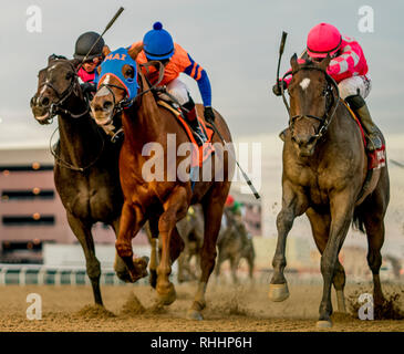 Ozone Park, New York, USA. 2nd Feb, 2019. OZONE PARK, NEW YORK - FEBRUARY 02: Tax #1 (pink cap), ridden by Junior Alvarado, wins the Withers Stakes on Withers Stakes Day at Aqueduct Race Track in Ozone Park, New York on February 2, 2019. Scott SerioEclipse SportswireCSM/Alamy Live News Stock Photo