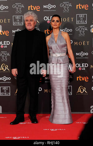 Sevilla, Spain. 2nd Feb 2019. Penélope Cruz and Pedro Almodovar attends Goya Cinema Awards 2019 at FIBES Conference and Exhibition Centre. Credit: SOPA Images Limited/Alamy Live News Stock Photo