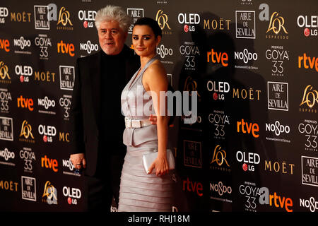 Sevilla, Spain. 2nd Feb 2019. Penelope Cruz and Pedro Almodovar attends Goya Cinema Awards 2019 at FIBES Conference and Exhibition Centre. Credit: SOPA Images Limited/Alamy Live News Stock Photo