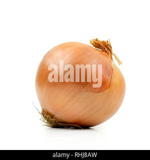 One ripe yellow onion isolated on a white background Stock Photo