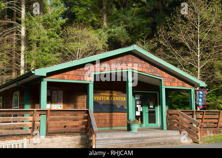 Patrick S Point State Park California Usa Stock Photo 235708286