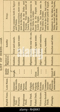 . Bird notes from the Nile. Birds. QO. Please note that these images are extracted from scanned page images that may have been digitally enhanced for readability - coloration and appearance of these illustrations may not perfectly resemble the original work.. Amherst, Mary Rothes Margaret (Tyssen-Amherst) Cecil, baroness, 1857-1919. Westminister [Eng. ] A. Constable &amp; co. , ltd. Stock Photo