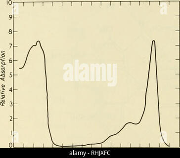 Absorption spectrum of chlorophyll a and b Stock Photo - Alamy