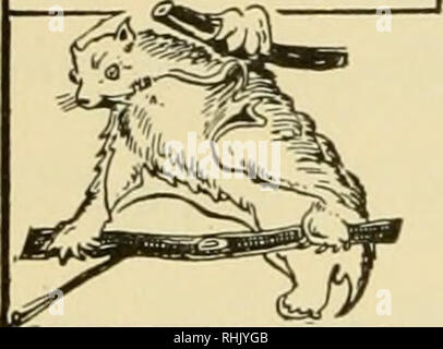 Biology; the story of living things. OrcCai- v5 RocCent-icc ...
