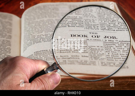 Hand holding magnifying glass over an old Bible opened to the famous chapter of Job, an ancient writing on suffering. This translation is King James,  Stock Photo