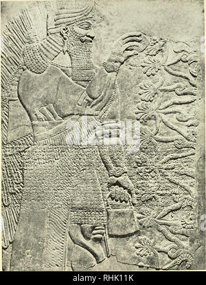 Ashur-nasir-pal II. King of Assyria from 883 to 859 BC. From a Bas