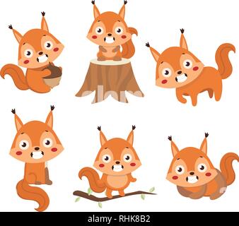 Little cute squirrel in different poses. Stock Vector