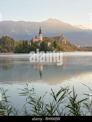 Church Of The Assumption on Blejski Otok with Bled Castle, Lake Bled, Bled, Gorenjska, Slovenia.  At sunrise Stock Photo